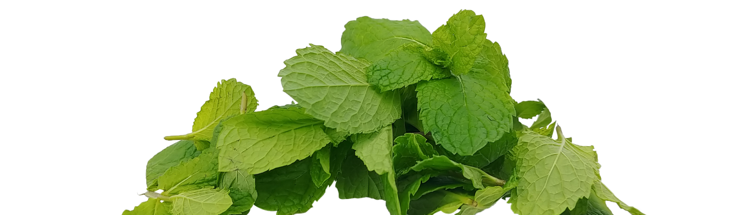 spearmint-4749041_1920