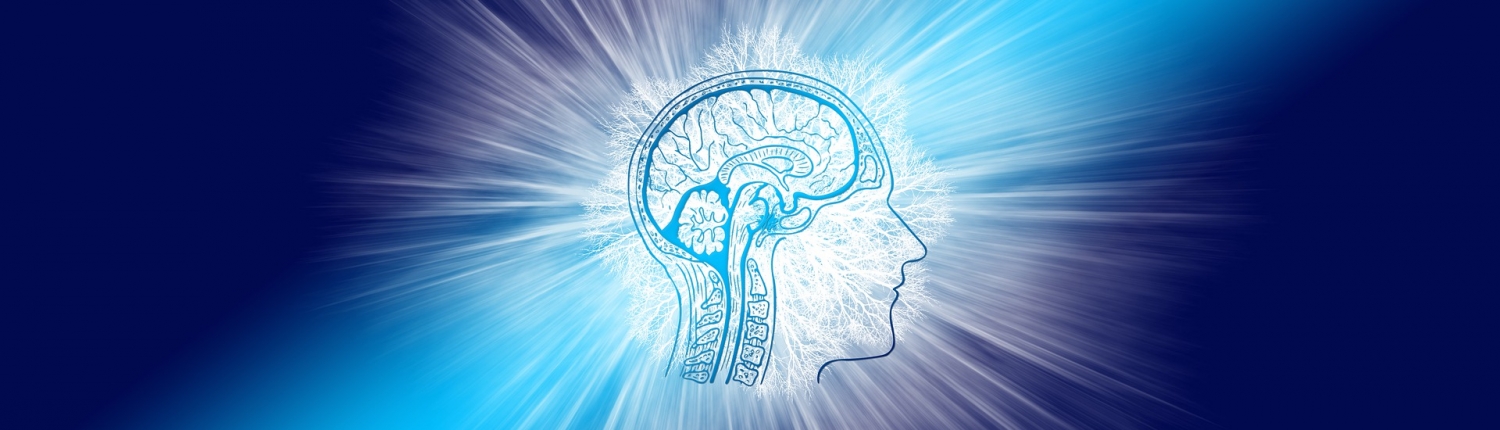 intelligence-4234824_1920